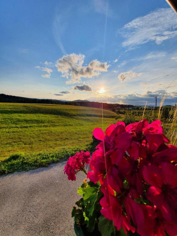 Apartma Sveti Duh Nova Vas  Luaran gambar