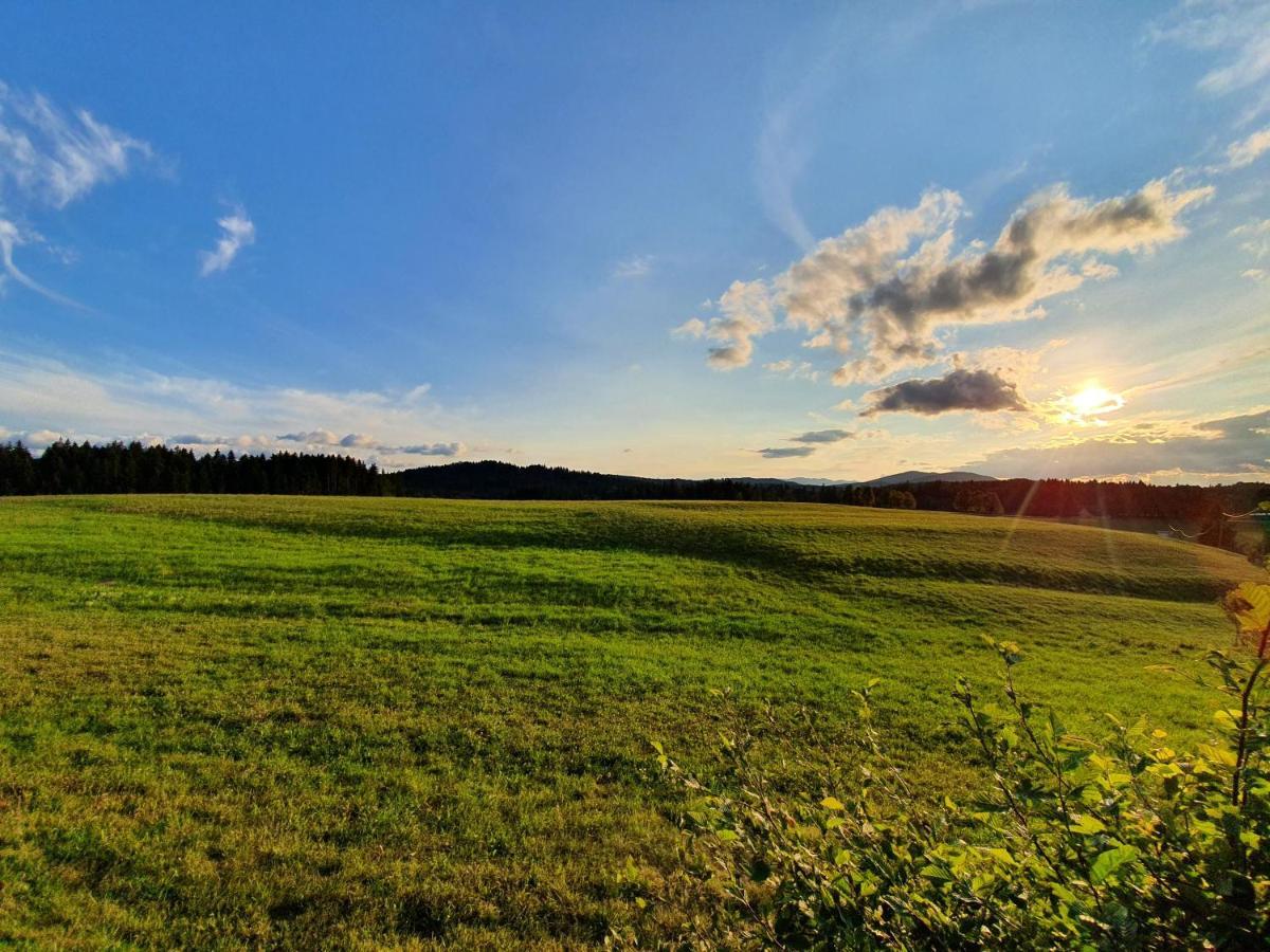 Apartma Sveti Duh Nova Vas  Luaran gambar